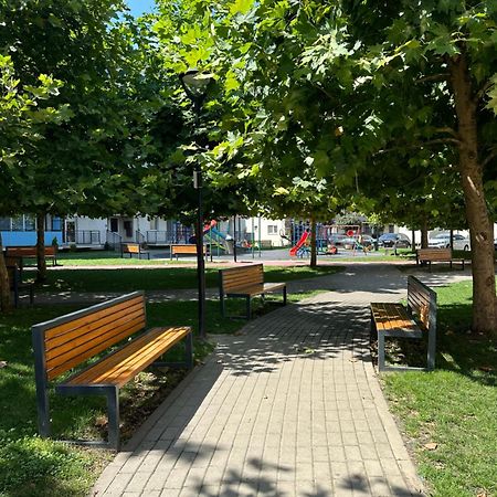 Junior Residence Studio Kaloşvar Dış mekan fotoğraf