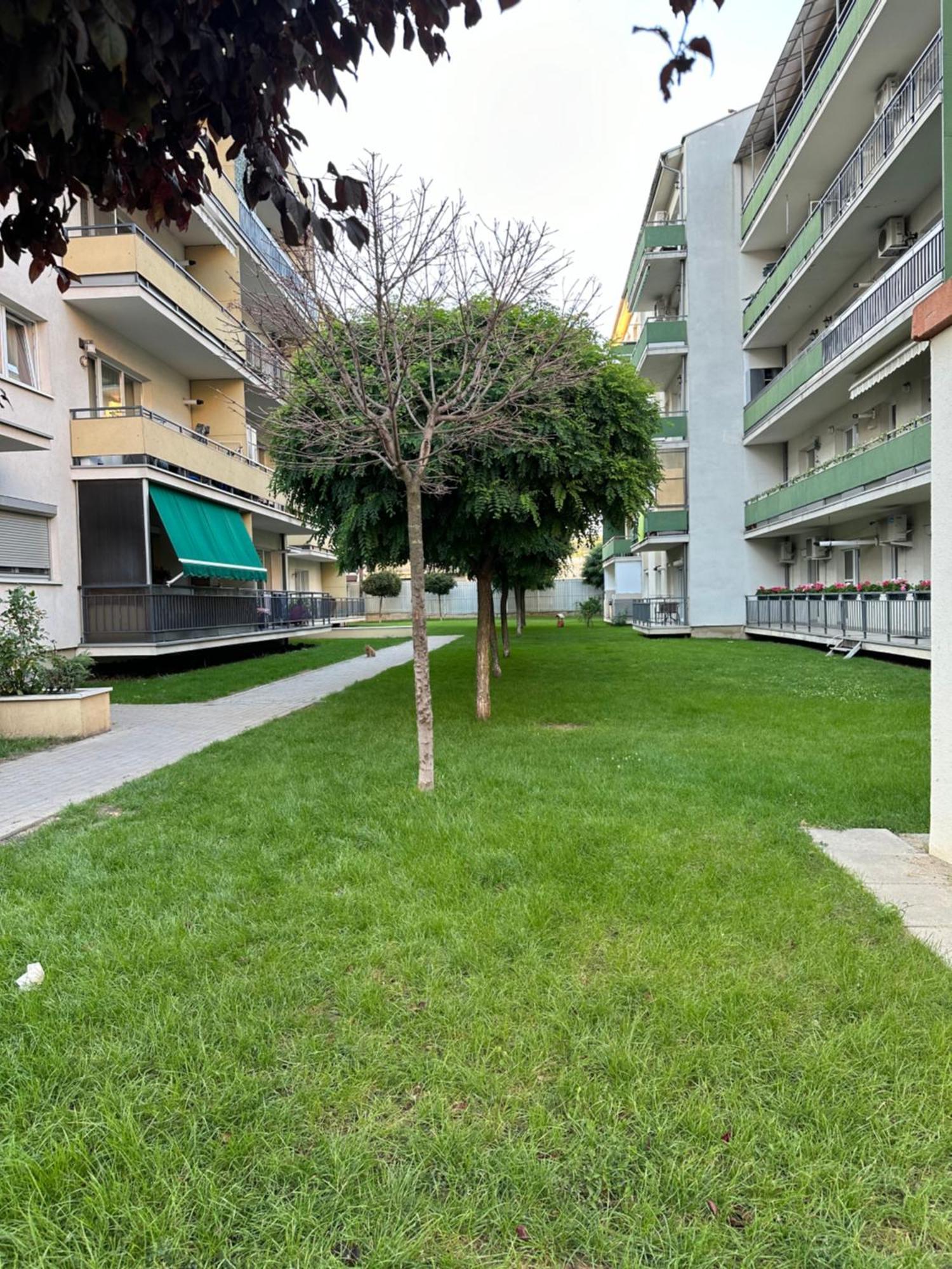 Junior Residence Studio Kaloşvar Dış mekan fotoğraf