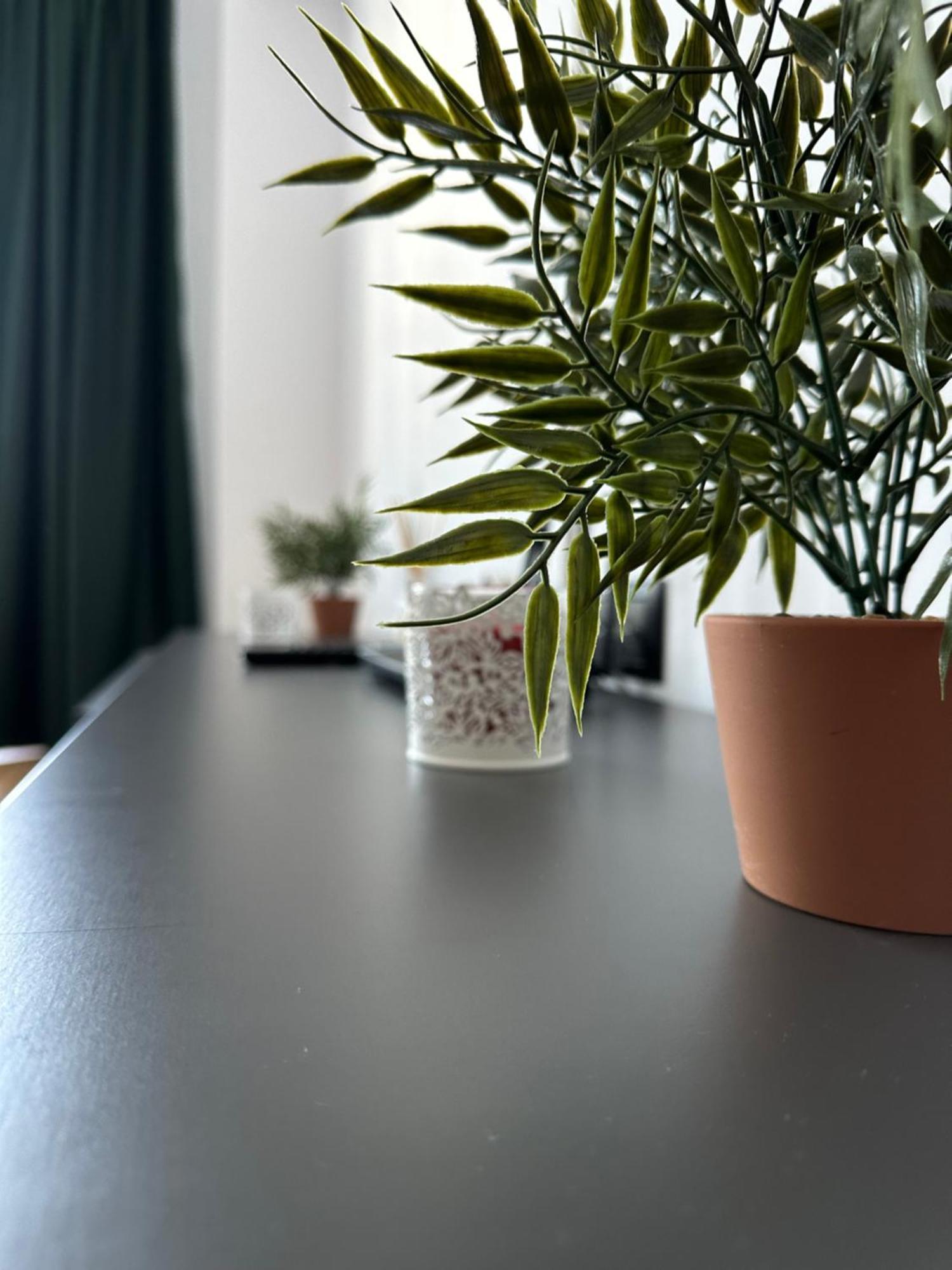 Junior Residence Studio Kaloşvar Dış mekan fotoğraf